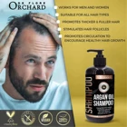 Shampoo Argan Shampoo Oem Bulk Hairloss Custom Turkish Packaging Hotel Wash Argan Oil Shampoo