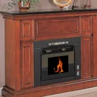 Insert Zhongli ZLR14 14KW Decorative Electric Fireplace Heater Cast Iron Freestanding Wood Burning