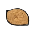 Root Yucca Root Powder Root Yucca Extract Powder Schidigera