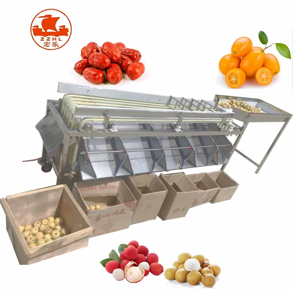 Professional Track Citrus Potato Grading Fruit Roller Sort Machine Sorting Walnuts Sorter Machine details