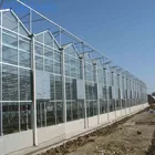 Multi-span glass greenhouse planting vertical farming Nft hydroponic system for tomato lettuce growing