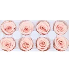 Roses Rose Rose Wholesale 4-5cm Stabilized Eternal Preserved Roses Flower Head With Paper Box