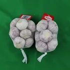 normal white garlic price in china