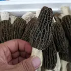 Natural Dried Morel Mushrooms Soup