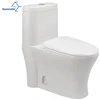Aquacubic Hot Sale Sanitary Ware Washdown Ceramic One Piece WC Toilet