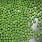New Crop Frozen IQF Green pea