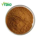 Bean Powder Powder High Quality Green Coffee Bean Extract/Green Coffee Bean Powder