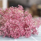 Home Decoration Flowers Artificial Gypsophila
