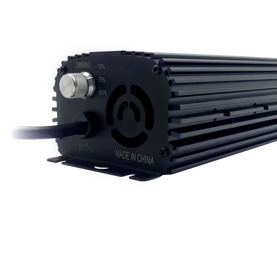 1000w 5.jpg