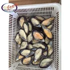 Factory manufacture sale delicious seafood frozen mussels meat with half shell