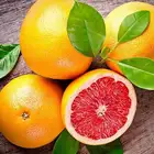 Seed Extract Naringin 98% Grapefruit Seed Extract
