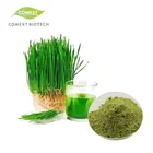 wholesale pure green plant juice powder barley grass extract with organic certified