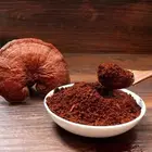 Top Quality Ganoderma lucidum Food Supplement Ganoderma Lucidum Mushroom Extract Powder Best Price Capsule