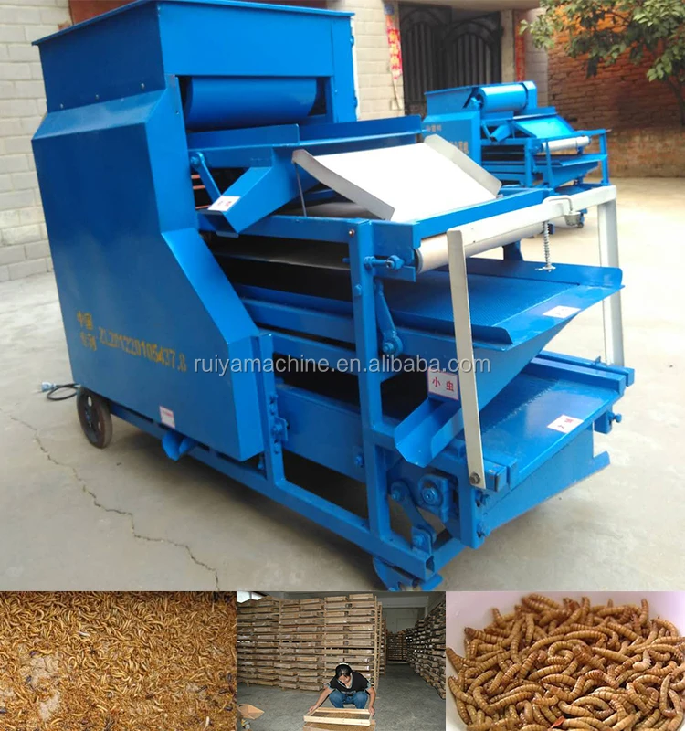 mealworm separator 