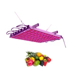 High Power Strip Lights High Power Customizable Red Blue Indoor Plants Grow Strip Lights