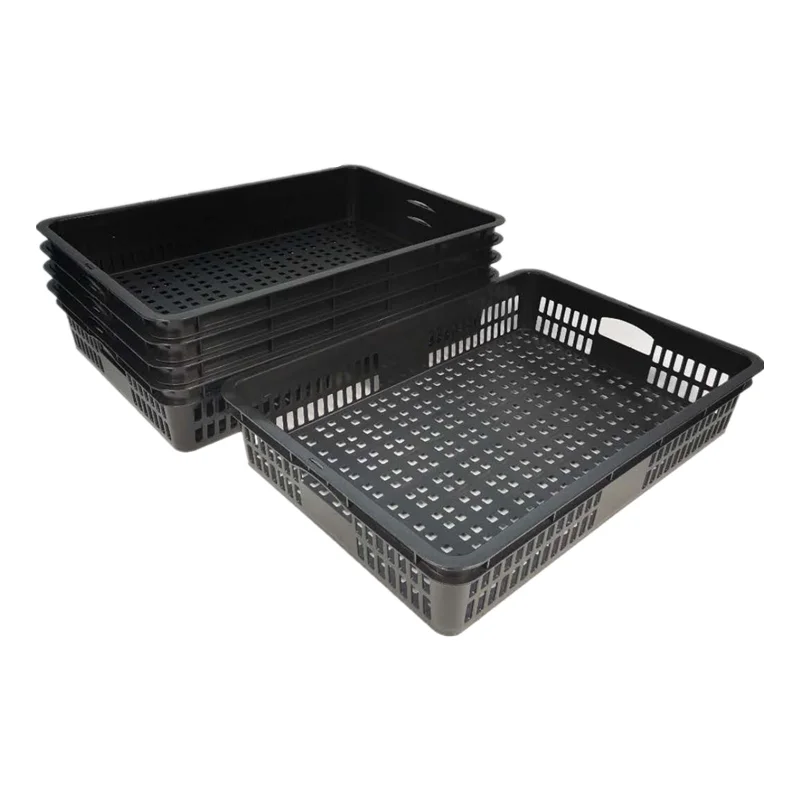 High Quality Cheap 20L PP Plastic Moving Vegetable Crates Manufacturing factory