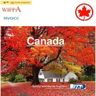 China Supplier Cheap Cargo Rate Dropshipping Fast Air Shipping China To Canada/USA/UK