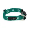 Pet Nylon Webbing Dog Collar, Adjustable Fun Paw Print Design
