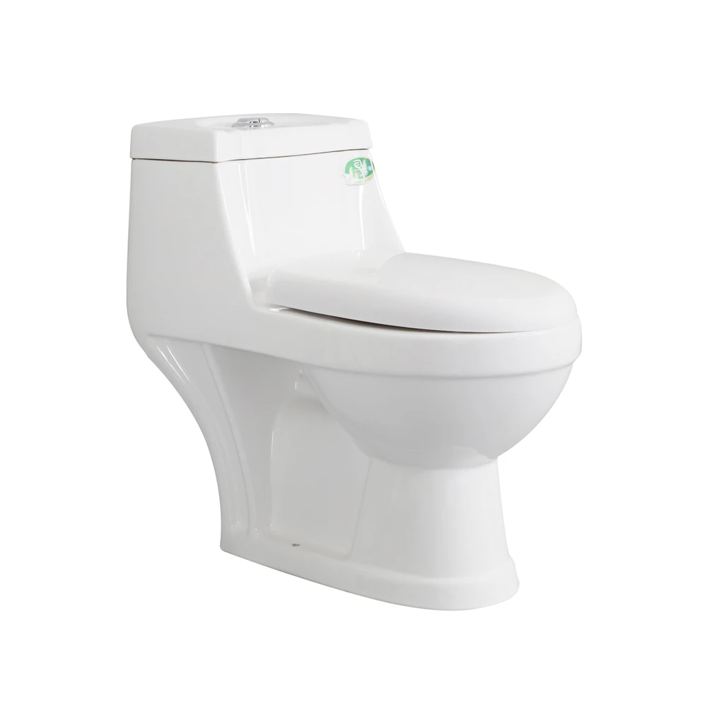 The Middle East Popular Design Combination Toilet Bidet One Piece Ceramic Flushing Fitting and