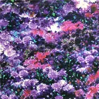 Factory direct high quality digital printing pure silk taffeta habotai silk fabric
