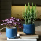 Ceramic Pots Ceramic Pot Pot Pot EVR Simple Creative Succulent Ceramic Plant Pots