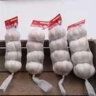 Garlic Garlic Chinese Garlic 2020 New Crop Wholesale Fresh Chinese Normail White Garlic