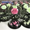 Beauty And The Beast Real Preserved Roses In Glass Dome/Tube