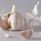 2019 Chinese Best Fresh Garlic pure white in bulk export