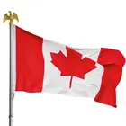 custom polyester printing 3x5 customized logo flag country flags