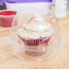Wholesale Custom Plastic Clear PET Blister Box for Cupcake