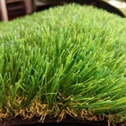 China Manufacture Artificial Grass Hot Sale Super Quality Putting Green Carpets Golf Mat