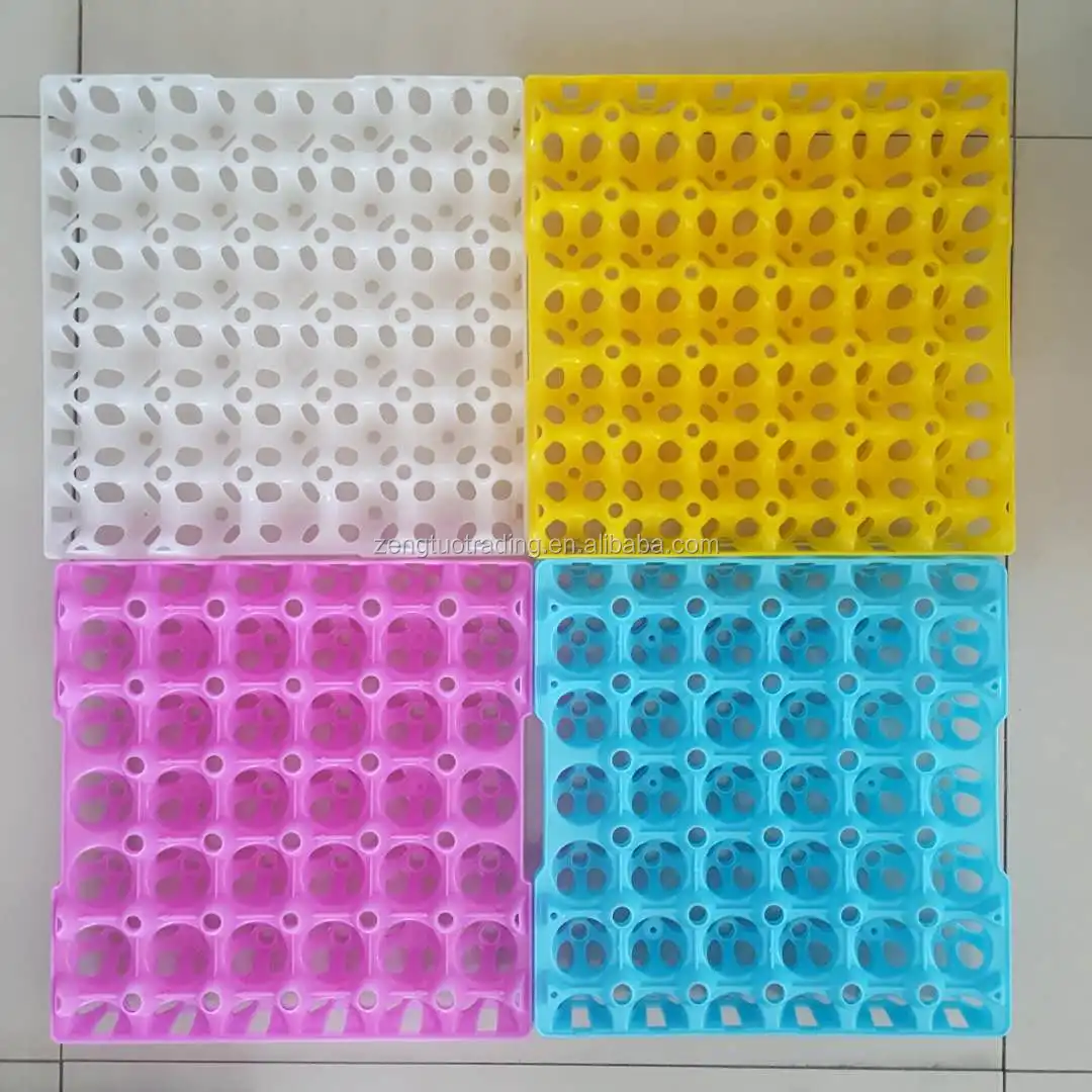 plastic egg tray (2).jpg