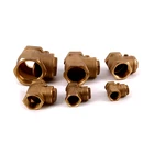 Valve Brass Valve JD-3006 Nice Quality Brass Type Stainless Swing Check Valve 1/2