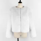 Fur Fashion Fur Coat Women Winter Warm Women Faux Fur Coat Ladies Short Jacket Women Fashion Causal Coat