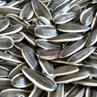 Wholesale 2018 Crop 361 Sunflower Seeds With Shell
