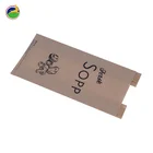 User-friendly disposable brown kraft paper lunch bag