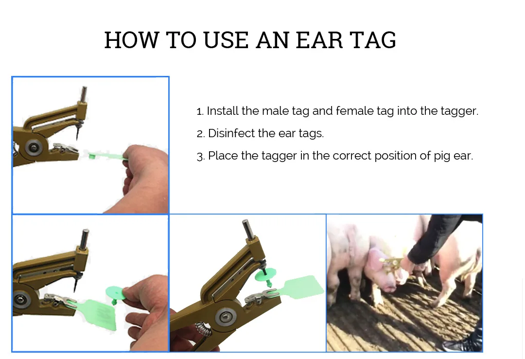 ear-tag-text-page_03.jpg