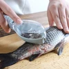 /product-detail/new-practical-fish-scale-remover-scraper-cleaner-kitchen-tool-peeler-1-pcs-scraping-fish-cleaning-tool-lid-kitchen-accessories-62229411193.html