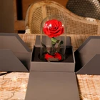 Immortal Flower Eternal Flor Preservada Rose Everlasting Preserved Flowers In Glass