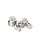 Npt Plug Pipe Good Sale 150 PSI 1/8 To 4 SS304 Female Npt Bsp Head Square/round/hex Plug Stainless Steel Pipe Fitting