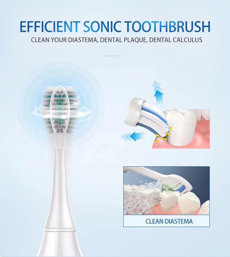 Sonic Heads Electric Tooth Brush Case Electronic Portable for Children New Professional Automatic Toothbrush