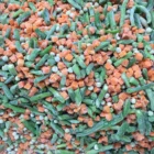 frozen mixed vegetable BRC HALAL HACCP certificates