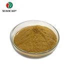Grade Organic Motherwort Herb Powder
