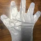 Gloves Gloves Importers 100% Biodegradable PLA Disposable Plastic Gloves