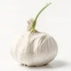 /product-detail/wholesale-price-china-fresh-natural-garlic-62237148488.html