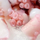 100% Natural Fresh And Delicious Nutritious Dicing Octopus For Sale