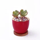 Pot Ceramic Ceramic Home Garden Mini Indoor Succulent Flower Plant Pot Planter Pot For Plant Ceramic