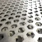 Iron Sheet 0.5-3.0mm Thick Iron Plate Hexagonal Perforated Sheet Metal