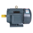 Latest Design 2019 YE2 three-phase asynchronous micro ac motor of China Supplier