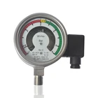 Density gauge Density relay Gas Density Controller SF6 Special Meter for Power Switchgear